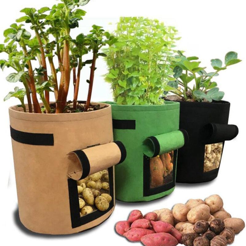 Sacola de Cultivo