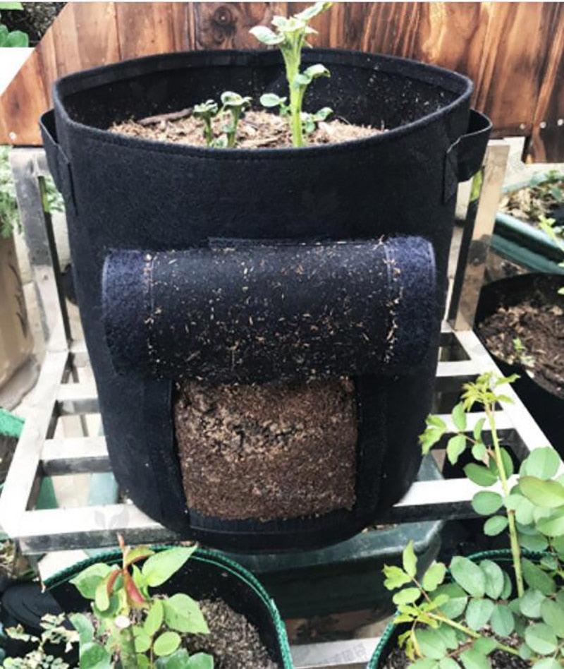 Sacola de Cultivo