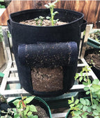 Sacola de Cultivo