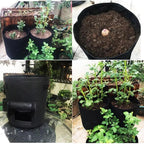 Sacola de Cultivo