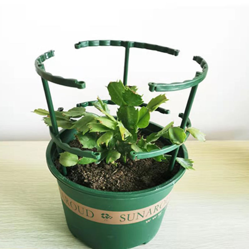 Suporte para Planta